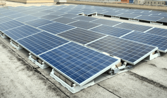 274294_7cd3893ee22d41bea8a9e1530d45d073-mv2